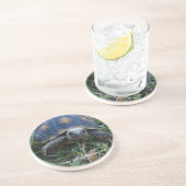 Rot-Fuß Schildkröten-Untersetzer Getränkeuntersetzer (Seite)