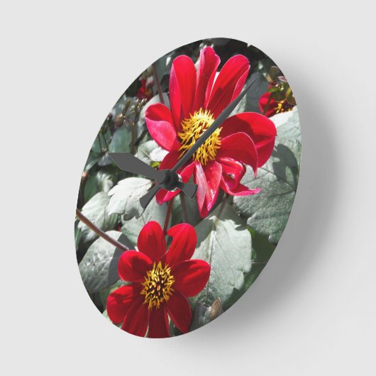 rot - Gänseblümchen des heißen Runde Wanduhr (Winkel)