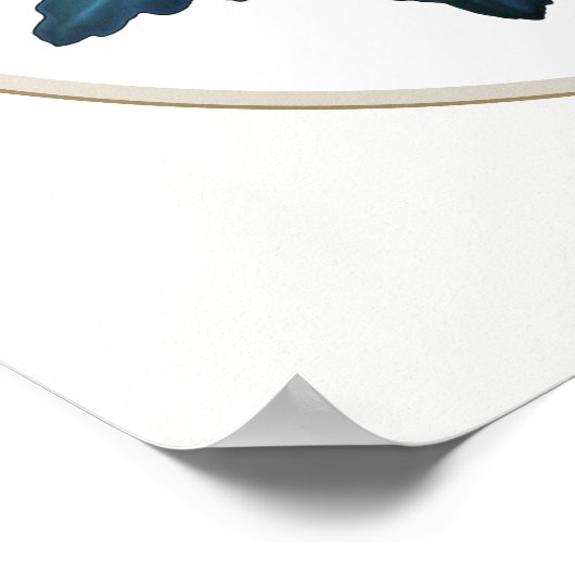 Rot-Gelb-Chrysanthemum Poster (Ecke)