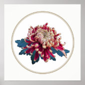 Rot-Gelb-Chrysanthemum Poster (Vorne)