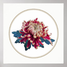 Rot-Gelb-Chrysanthemum