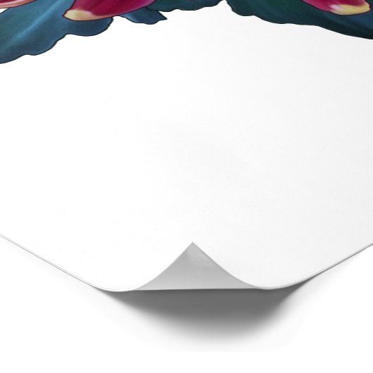 Rot-Gelb-Chrysanthemum-Weiß-Poster Poster (Ecke)