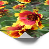 Rot-Gelb-Daisy-Blume Poster (Ecke)