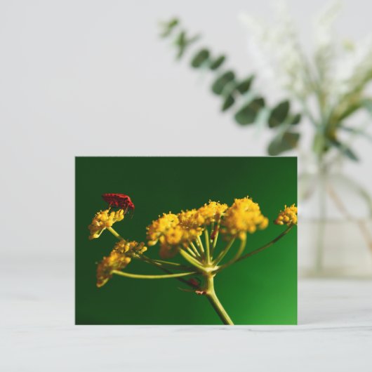 Rot - Gelb - Grün Postkarte (Stehend Vorderseite)