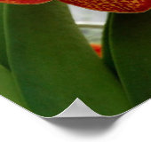 Rot-Gelb-Orchidee Poster (Ecke)