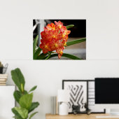 Rot-Gelb-Orchidee Poster (Heimbüro)