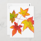 Rot-Gelb- und Herbstblätter Postkarte (Vorne/Hinten)