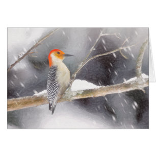 Rot-Gelb Woodpecker Malerei Original Vogelkunst
