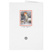 Rot-Gelb Woodpecker Malerei Original Vogelkunst (Hinten)