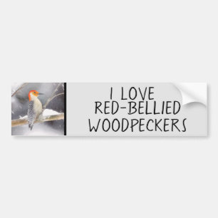 Rot-Gelb Woodpecker Malerei Original Vogelkunst Autoaufkleber