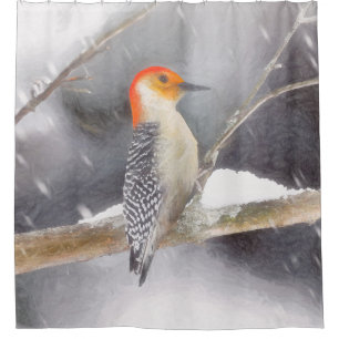 Rot-Gelb Woodpecker Malerei Original Vogelkunst Duschvorhang