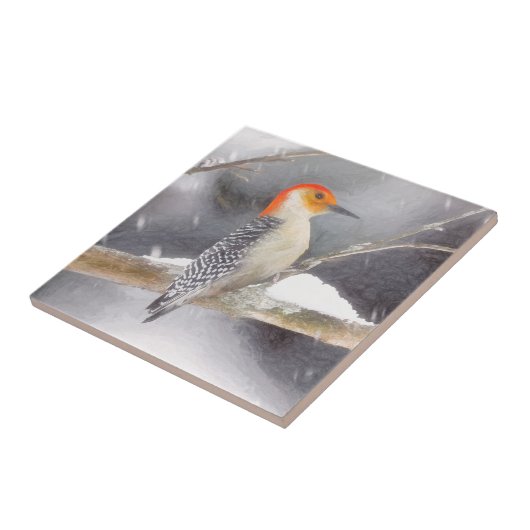 Rot-Gelb Woodpecker Malerei Original Vogelkunst Fliese (Seite)