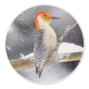 Rot-Gelb Woodpecker Malerei Original Vogelkunst Keramikknauf
