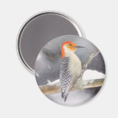 Rot-Gelb Woodpecker Malerei Original Vogelkunst Magnet (Vorderseite/Rückseite)