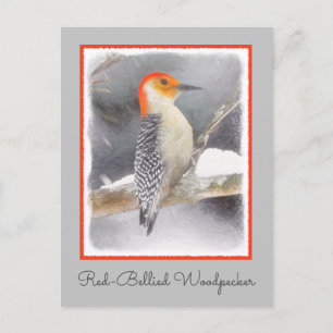 Rot-Gelb Woodpecker Malerei Original Vogelkunst Postkarte