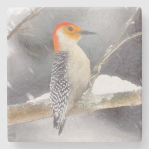 Rot-Gelb Woodpecker Malerei Original Vogelkunst Steinuntersetzer