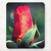 Rot-Gelbe Rosenknospe-Blumen Mousepad (Vorne)