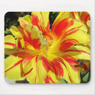Rot-Gelbe Tulpe Mousepad