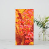 ROT GELBEN HERBSTÜCK FALL MAPLE NATURSCHÖNHEIT (Stehend Vorderseite)