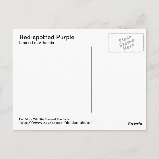 Rot-gepunktete Lila Postkarte (Rückseite)