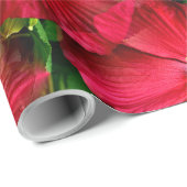 Rot...... Geschenkpapier (Rolleneckpunkt)