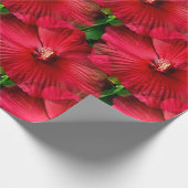 Rot...... Geschenkpapier (Ecke)