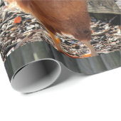 Rot Geschenkpapier (Rolleneckpunkt)