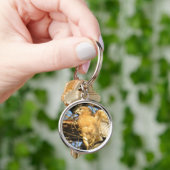 Rot-geschulterte Falke-Schlüsselkette Schlüsselanhänger (Hand)