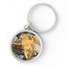 Rot-geschulterte Falke-Schlüsselkette