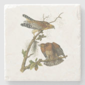 Rot-geschulterter Falke durch Audubon Steinuntersetzer (Vorderseite)