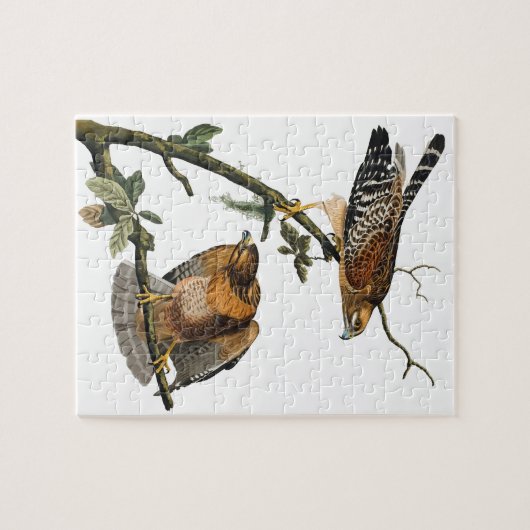 Rot-geschulterter Falke Puzzle (Horizontal)