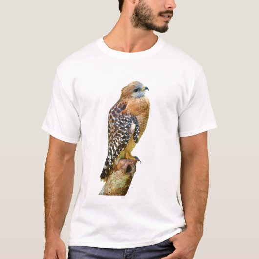 Rot-Geschulterter Falke T-Shirt (Vorderseite)