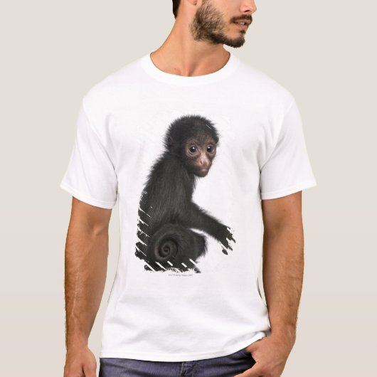 Rot-gesichtiger Spinnen-Affe - Ateles paniscus (3 T-Shirt (Vorderseite)