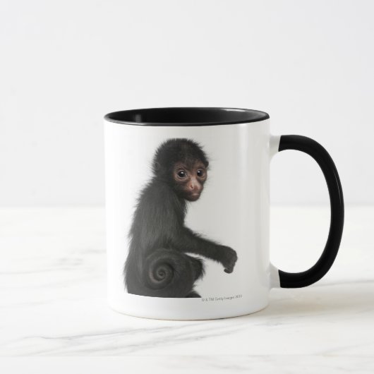Rot-gesichtiger Spinnen-Affe - Ateles paniscus (3 Tasse (Rechts)