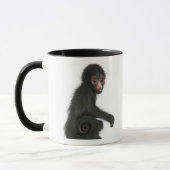 Rot-gesichtiger Spinnen-Affe - Ateles paniscus (3 Tasse (Links)