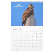 ROT GESTRICHENE HAWKS VON OHIO KALENDER (Jan 2027)