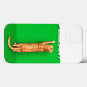 Rot getigerte Katze zerreißt Papier Case-Mate iPho iPhone Hülle (Rückseite (Horizontal))