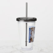 Rot gezapfte Nuthatch Malerei Original Vogelkunst Acryltrinkbecher (Rechts)