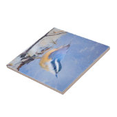 Rot gezapfte Nuthatch Malerei Original Vogelkunst Fliese (Seite)