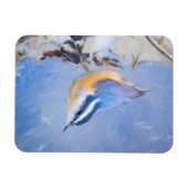 Rot gezapfte Nuthatch Malerei Original Vogelkunst Magnet (Horizontal)