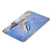 Rot gezapfte Nuthatch Malerei Original Vogelkunst Magnet (Linke Seite)