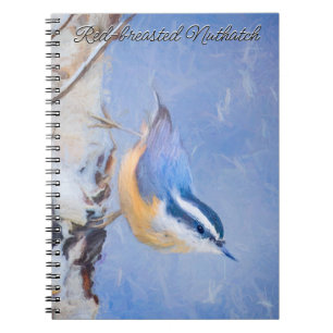 Rot gezapfte Nuthatch Malerei Original Vogelkunst Notizblock