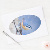 Rot gezapfte Nuthatch Malerei Original Vogelkunst Ovaler Aufkleber (Umschlag)