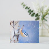 Rot gezapfte Nuthatch Malerei Original Vogelkunst Postkarte (Stehend Vorderseite)