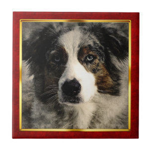 Rot & Gold gerahmter abstrakter Hundedruck Fliese