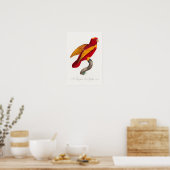 Rot-Gold-Lori, Poster (Küche)