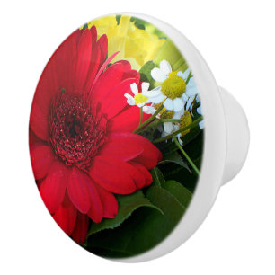 Rot, Grün, Gelb, Weiß, Blume, Blüte, Gerbera, Keramikknauf