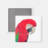 Rot-Grün-Papagei-Magnet Magnet (Vorderseite/Rückseite)