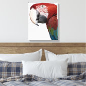 Rot-grüne Maca-Chloropterus Leinwanddruck (Insitu (Schlafzimmer))