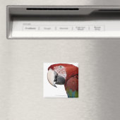 Rot-grüne Maca-Chloropterus Magnet (In Situ (Geschirrspüler))